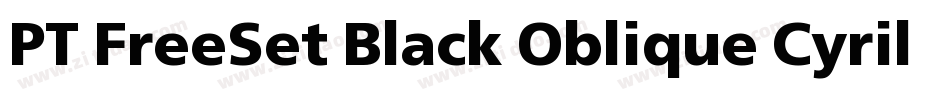 PT FreeSet Black Oblique Cyrillic字体转换
